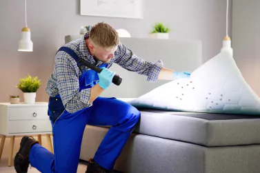 Bedbug Control Pascoe Vale